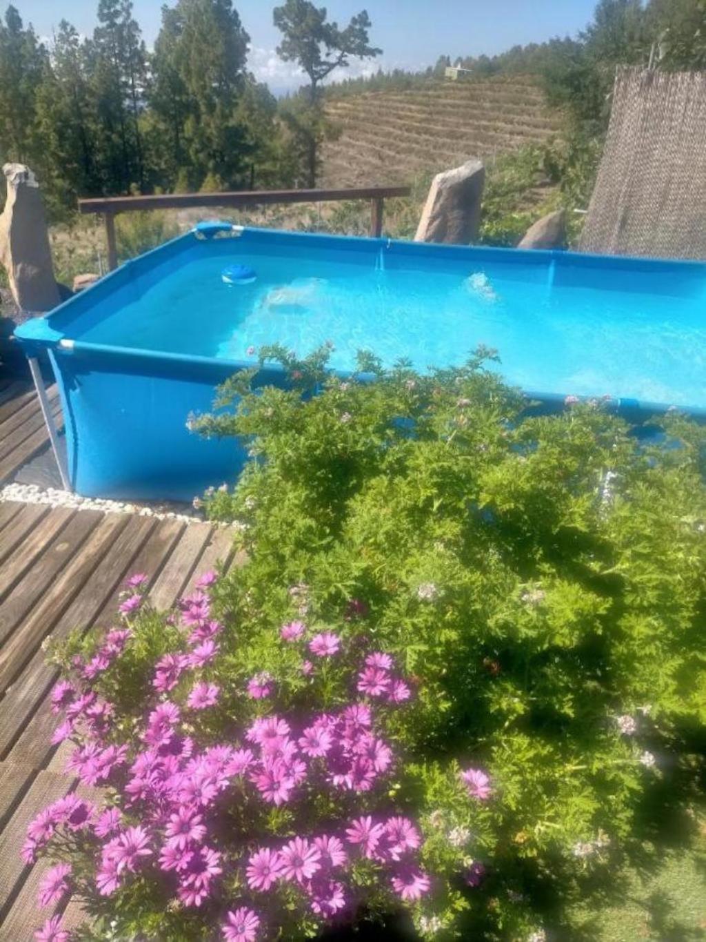 Media Pipa Villa Puntagorda  Exterior photo